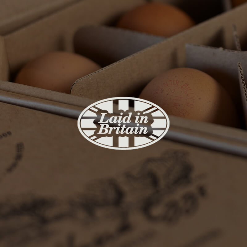 Billys Natural and Honest eggs_quality assurance